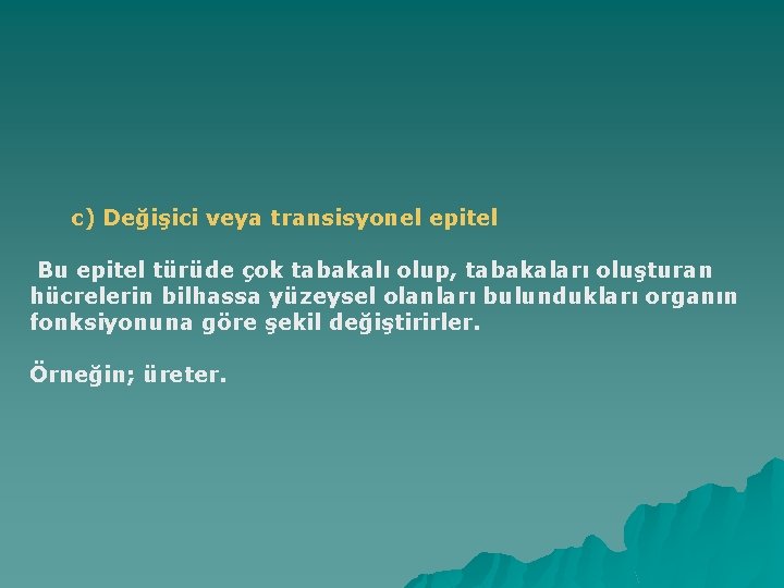 c) Değişici veya transisyonel epitel Bu epitel türüde çok tabakalı olup, tabakaları oluşturan hücrelerin