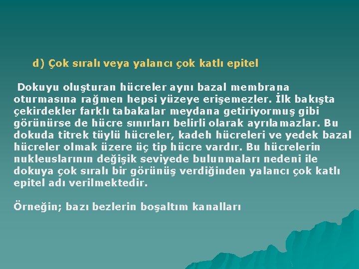 d) Çok sıralı veya yalancı çok katlı epitel Dokuyu oluşturan hücreler aynı bazal membrana