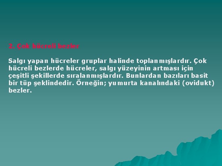 2. Çok hücreli bezler Salgı yapan hücreler gruplar halinde toplanmışlardır. Çok hücreli bezlerde hücreler,