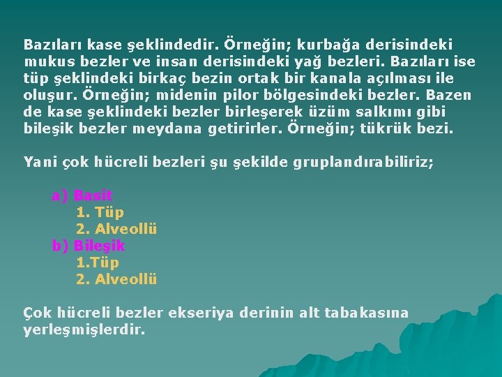 Bazıları kase şeklindedir. Örneğin; kurbağa derisindeki mukus bezler ve insan derisindeki yağ bezleri. Bazıları