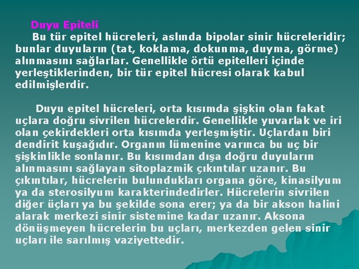 Duyu Epiteli Bu tür epitel hücreleri, aslında bipolar sinir hücreleridir; bunlar duyuların (tat, koklama,