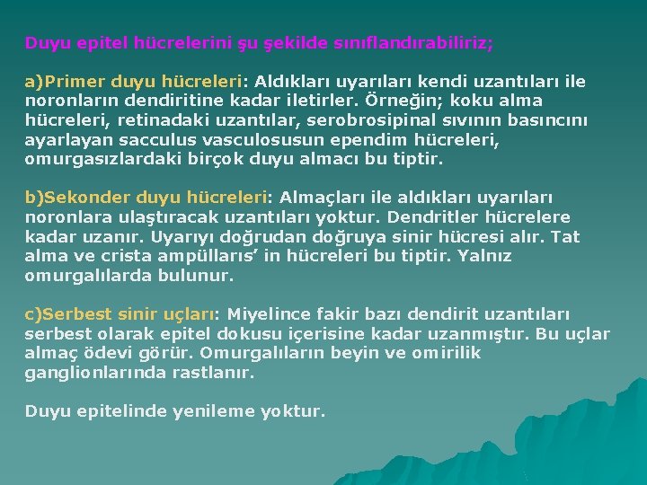 Duyu epitel hücrelerini şu şekilde sınıflandırabiliriz; a)Primer duyu hücreleri: Aldıkları uyarıları kendi uzantıları ile