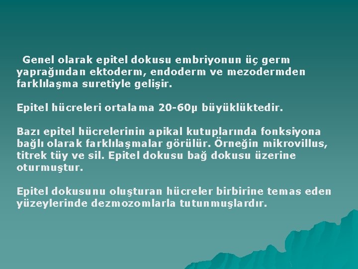 Genel olarak epitel dokusu embriyonun üç germ yaprağından ektoderm, endoderm ve mezodermden farklılaşma suretiyle