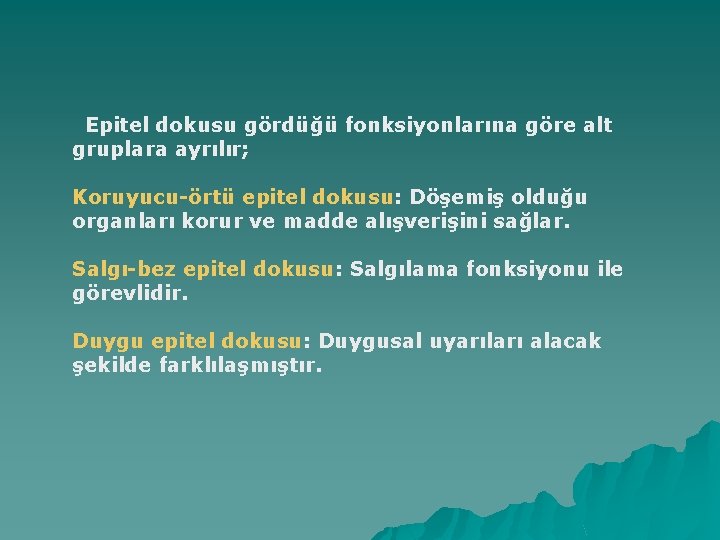 Epitel dokusu gördüğü fonksiyonlarına göre alt gruplara ayrılır; Koruyucu-örtü epitel dokusu: Döşemiş olduğu organları