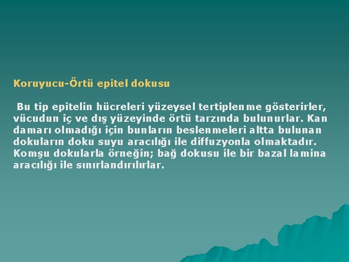 Koruyucu-Örtü epitel dokusu Bu tip epitelin hücreleri yüzeysel tertiplenme gösterirler, vücudun iç ve dış