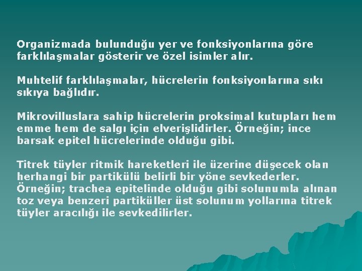 Organizmada bulunduğu yer ve fonksiyonlarına göre farklılaşmalar gösterir ve özel isimler alır. Muhtelif farklılaşmalar,