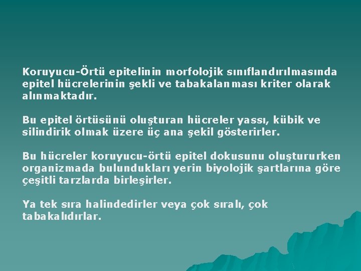 Koruyucu-Örtü epitelinin morfolojik sınıflandırılmasında epitel hücrelerinin şekli ve tabakalanması kriter olarak alınmaktadır. Bu epitel