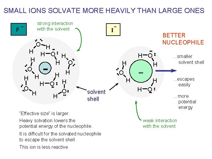 SMALL IONS SOLVATE MORE HEAVILY THAN LARGE ONES F strong interaction with the solvent