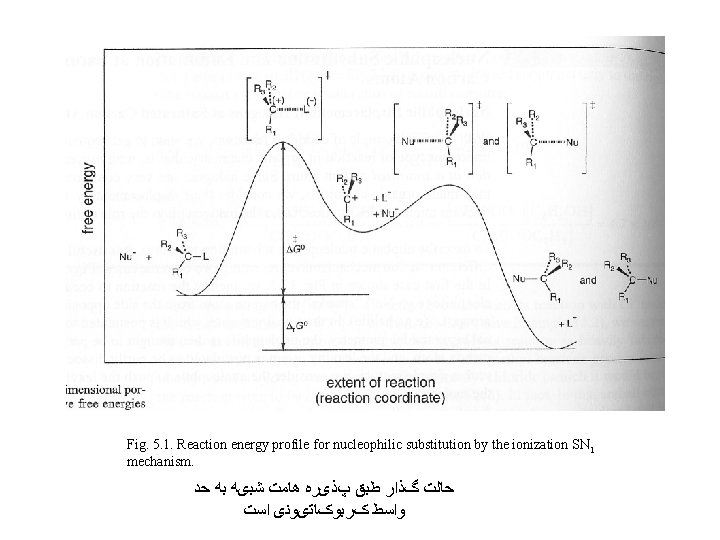 Fig. 5. 1. Reaction energy profile for nucleophilic substitution by the ionization SN 1