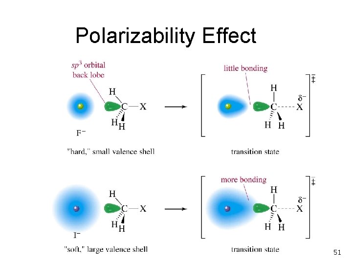 Polarizability Effect 51 