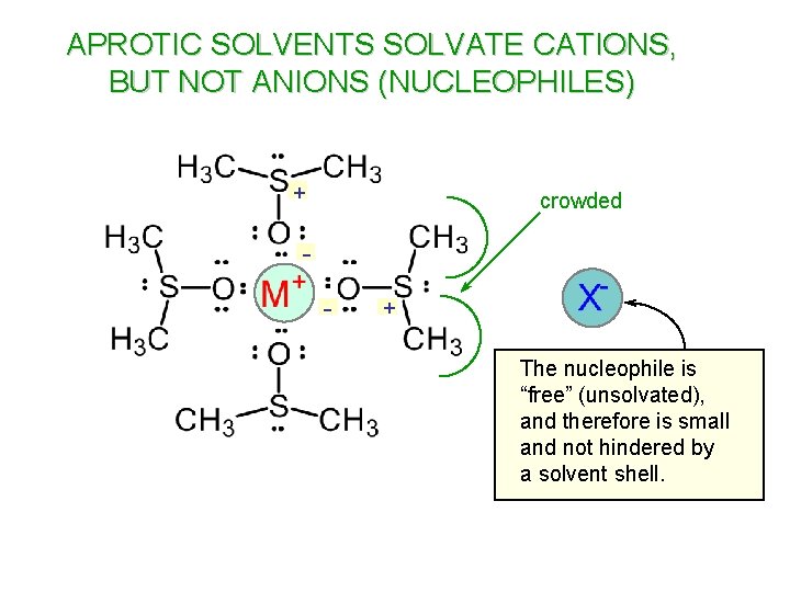 APROTIC SOLVENTS SOLVATE CATIONS, BUT NOT ANIONS (NUCLEOPHILES) + crowded - + The nucleophile