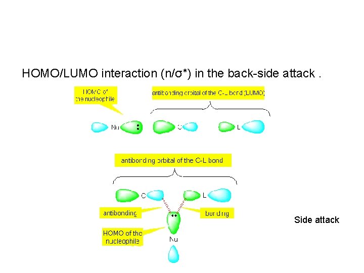 HOMO/LUMO interaction (n/σ*) in the back-side attack. Side attack 