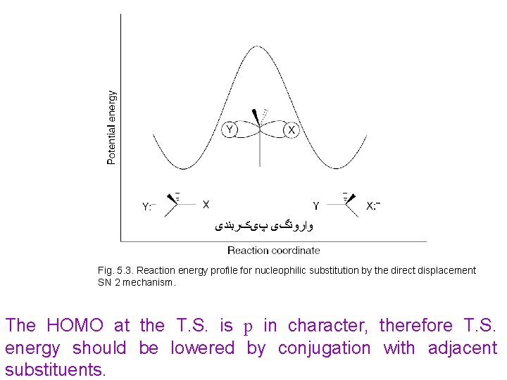  ﻭﺍﺭﻭﻧگی پیکﺮﺑﻨﺪی Fig. 5. 3. Reaction energy profile for nucleophilic substitution by the