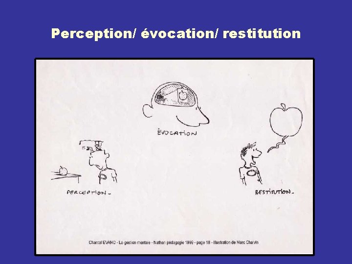 Perception/ évocation/ restitution 
