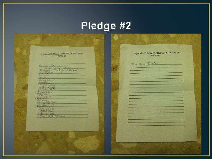 Pledge #2 