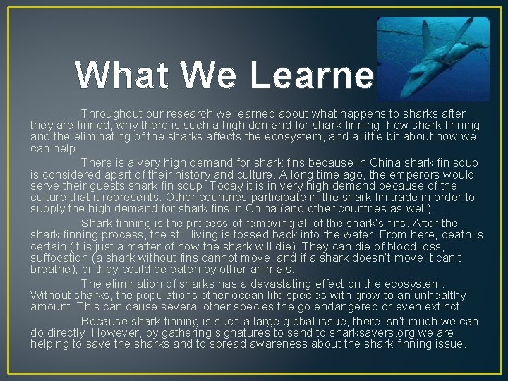 What We Learned Throughout our research we learned about what happens to sharks after