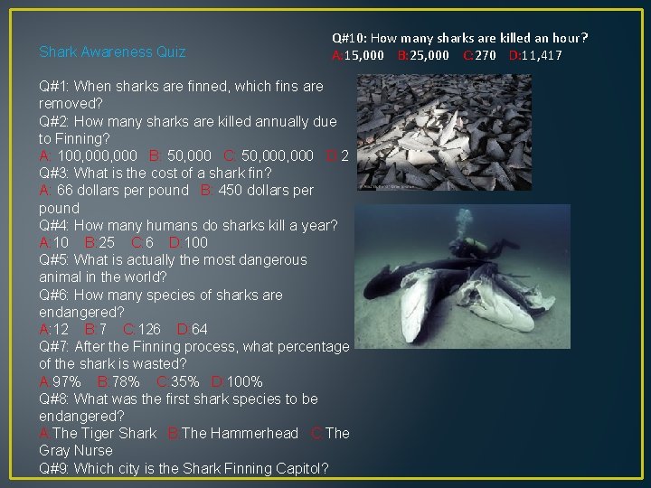 Q#10: How many sharks are killed an hour? A: 15, 000 B: 25, 000