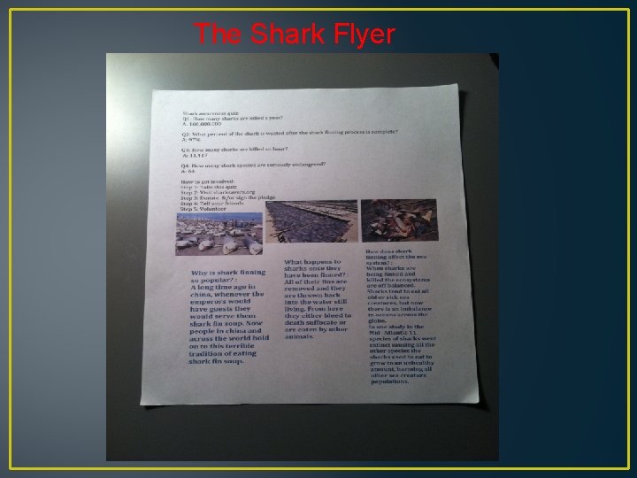 The Shark Flyer 