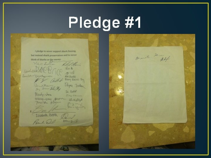 Pledge #1 