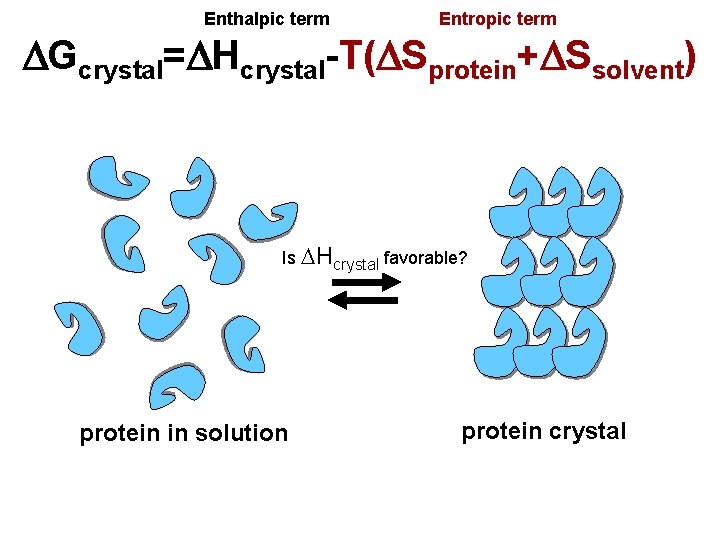 Enthalpic term Entropic term DGcrystal=DHcrystal-T(DSprotein+DSsolvent) Is DHcrystal favorable? protein in solution protein crystal 