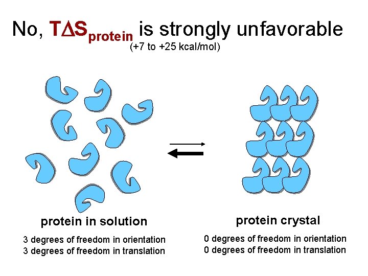 No, TDSprotein is strongly unfavorable (+7 to +25 kcal/mol) protein in solution 3 degrees