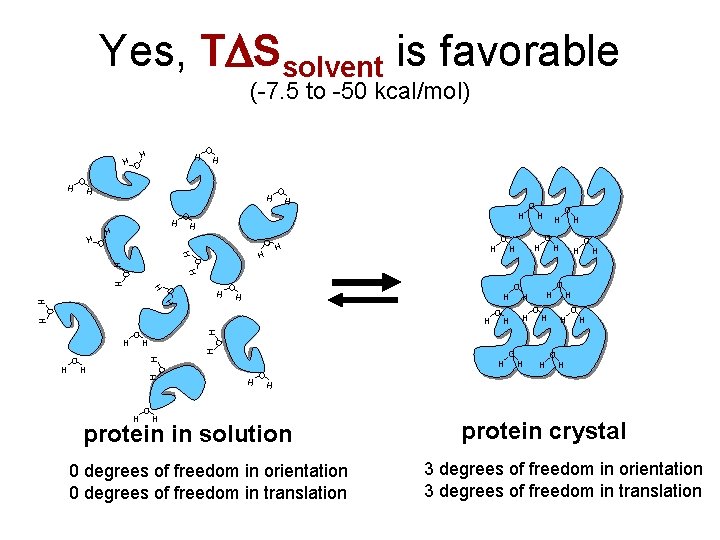 Yes, TDSsolvent is favorable (-7. 5 to -50 kcal/mol) O H H H O