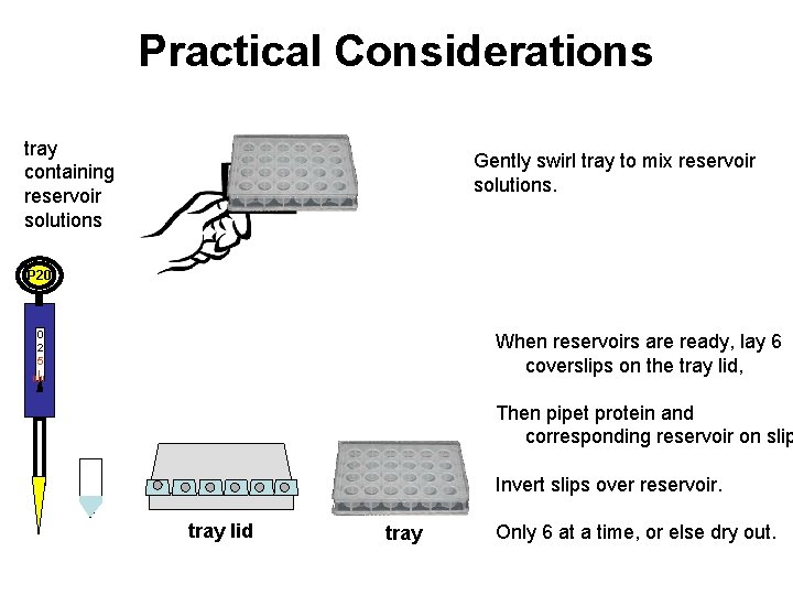 Practical Considerations tray containing reservoir solutions Gently swirl tray to mix reservoir solutions. P
