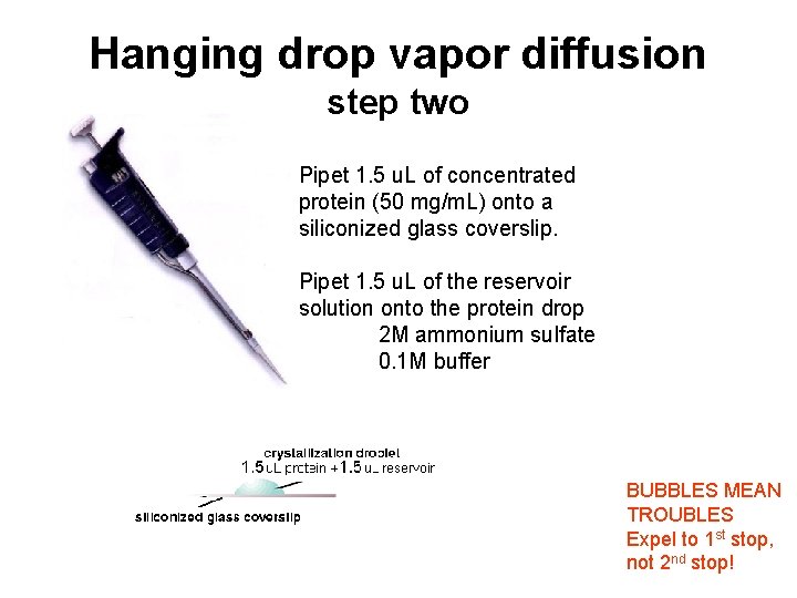 Hanging drop vapor diffusion step two Pipet 1. 5 u. L of concentrated protein
