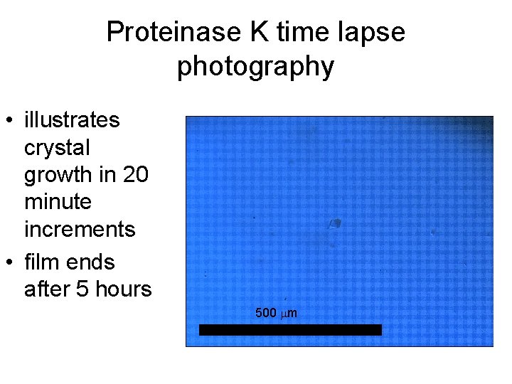 Proteinase K time lapse photography • illustrates crystal growth in 20 minute increments •