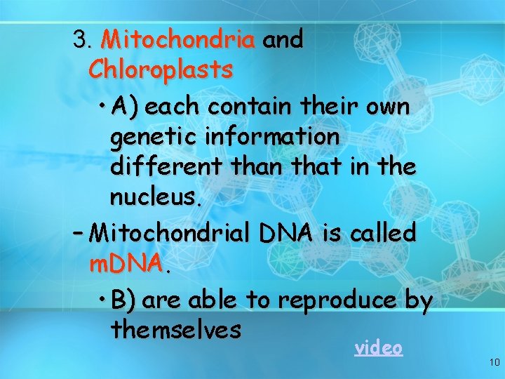 3. Mitochondria and Chloroplasts • A) each contain their own genetic information different than