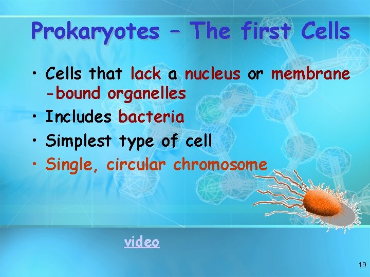 Prokaryotes – The first Cells • Cells that lack a nucleus or membrane -bound