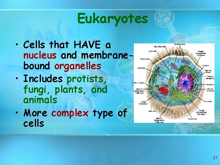 Eukaryotes • Cells that HAVE a nucleus and membranebound organelles • Includes protists, fungi,