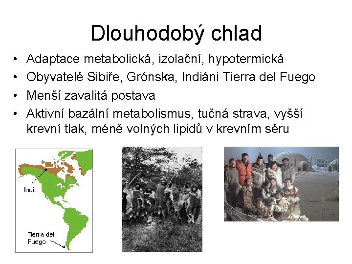 Dlouhodobý chlad • • Adaptace metabolická, izolační, hypotermická Obyvatelé Sibiře, Grónska, Indiáni Tierra del