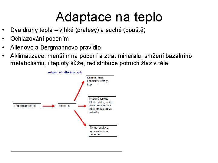 Adaptace na teplo • • Dva druhy tepla – vlhké (pralesy) a suché (pouště)