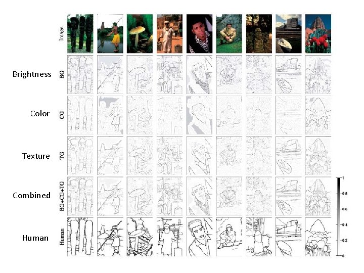 Brightness Color Texture Combined Human 