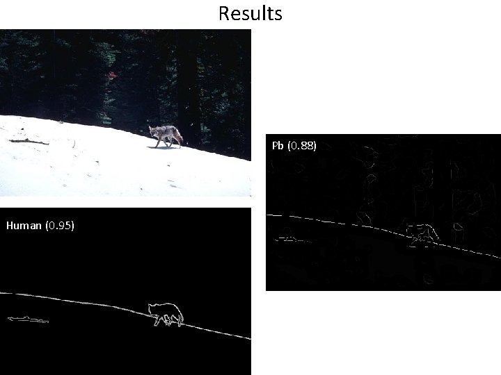 Results Pb (0. 88) Human (0. 95) 