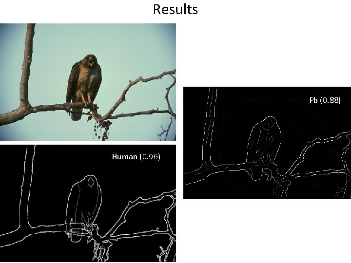 Results Pb Human (0. 96) Pb (0. 88) Global Pb 