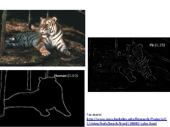 Pb (0. 35) Human (0. 90) For more: http: //www. eecs. berkeley. edu/Research/Projects/C S/vision/bsds/bench/html/108082