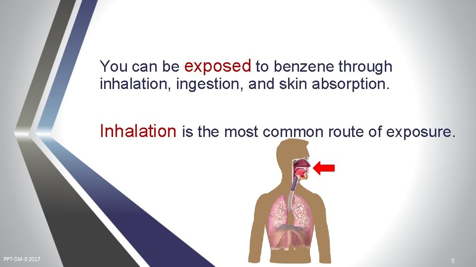 You can be exposed to benzene through inhalation, ingestion, and skin absorption. Inhalation is