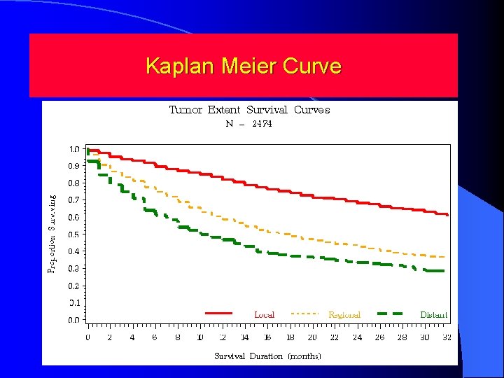 Kaplan Meier Curve 