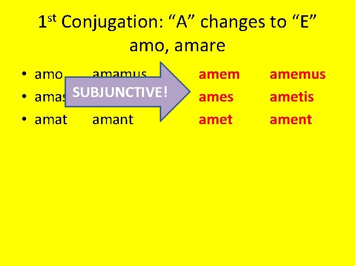 1 st Conjugation: “A” changes to “E” amo, amare • amo amamus • amas