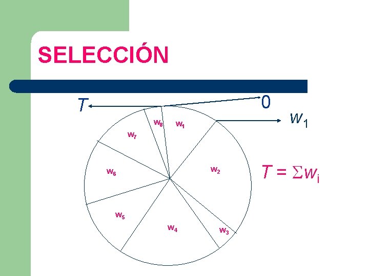 SELECCIÓN 0 T w 8 w 1 w 7 w 2 w 6 w
