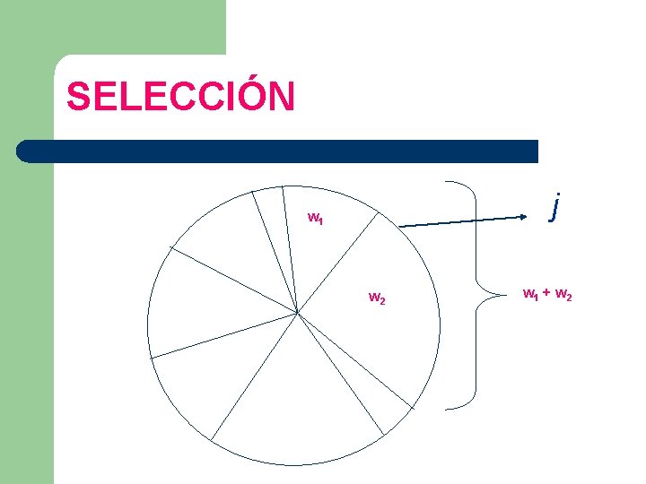 SELECCIÓN j w 1 w 2 w 1 + w 2 