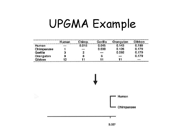 UPGMA Example 