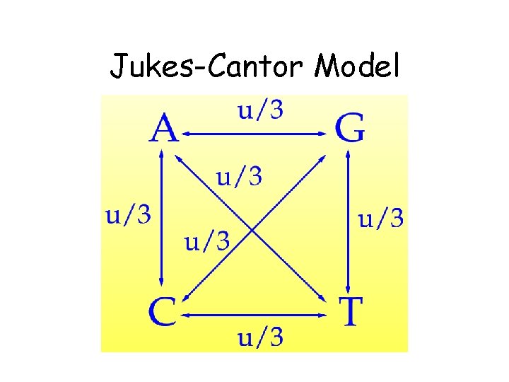 Jukes-Cantor Model 