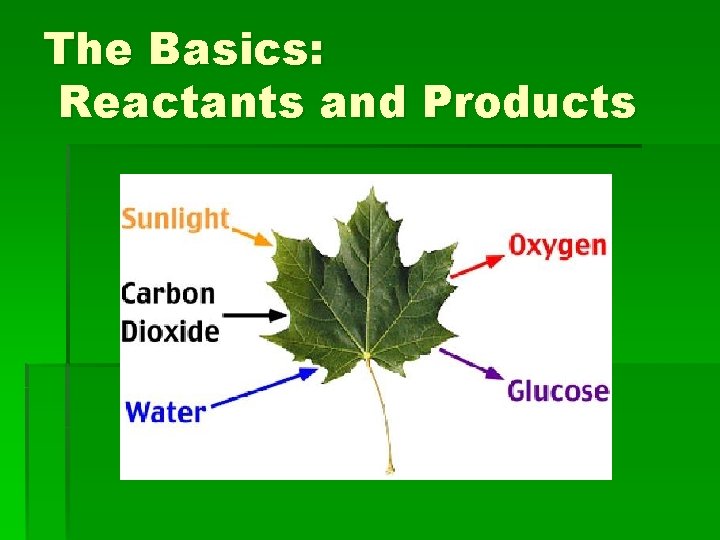 The Basics: Reactants and Products 