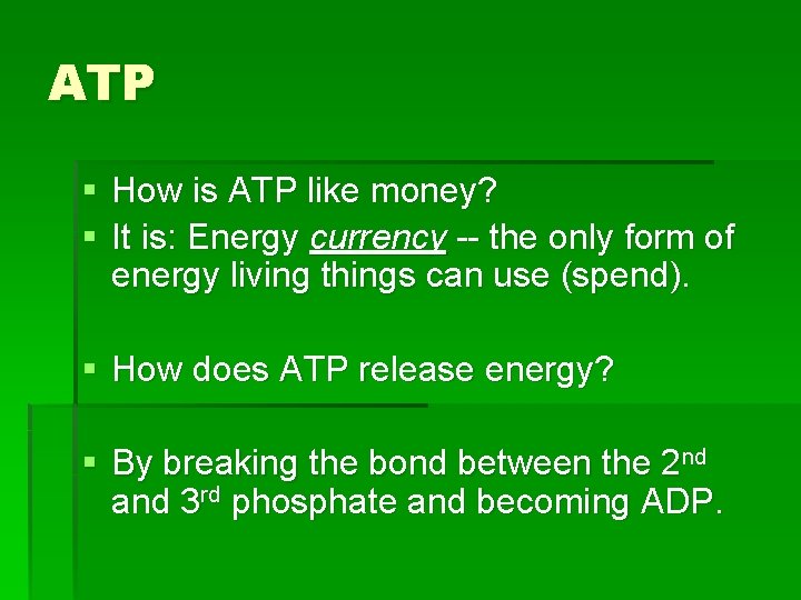 ATP § How is ATP like money? § It is: Energy currency -- the