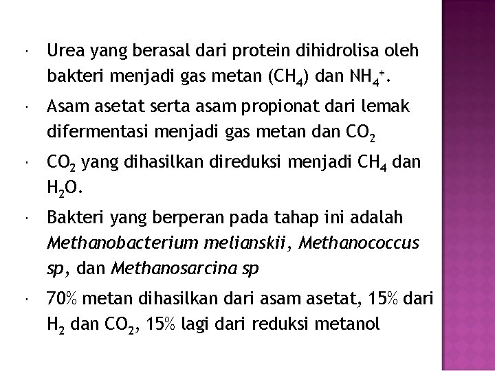  Urea yang berasal dari protein dihidrolisa oleh bakteri menjadi gas metan (CH 4)