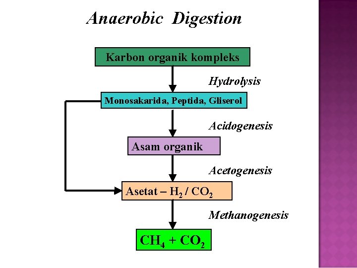 Anaerobic Digestion Karbon organik kompleks Hydrolysis Monosakarida, Peptida, Gliserol Acidogenesis Asam organik Acetogenesis Asetat