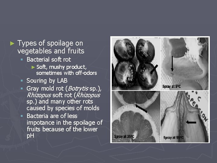 ► Types of spoilage on vegetables and fruits § Bacterial soft rot ► Soft,